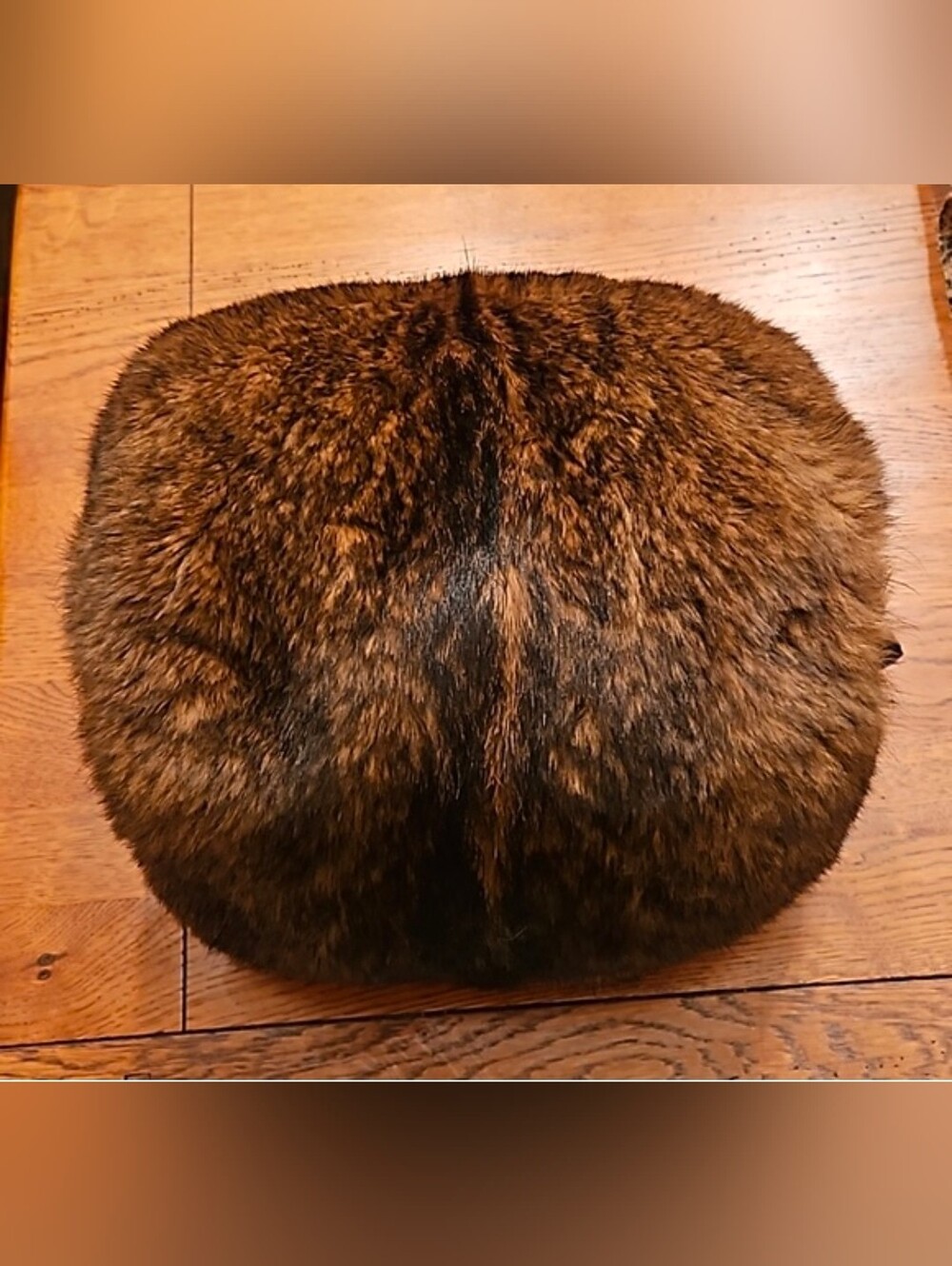 Fur 1900's Muff - Walking & Sleigh Travel